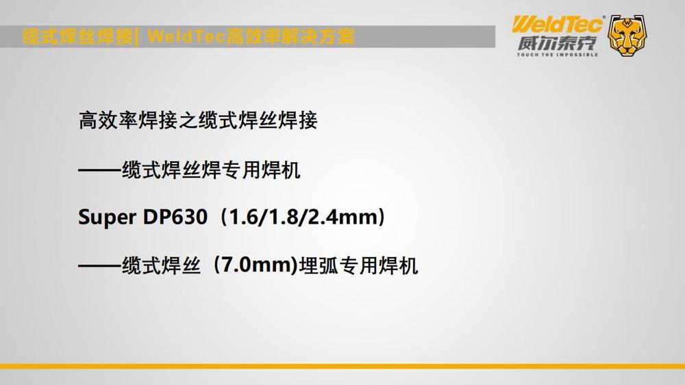 2024双链论坛-威尔泰克在钢构行业高效率焊接解决方案_44.jpg