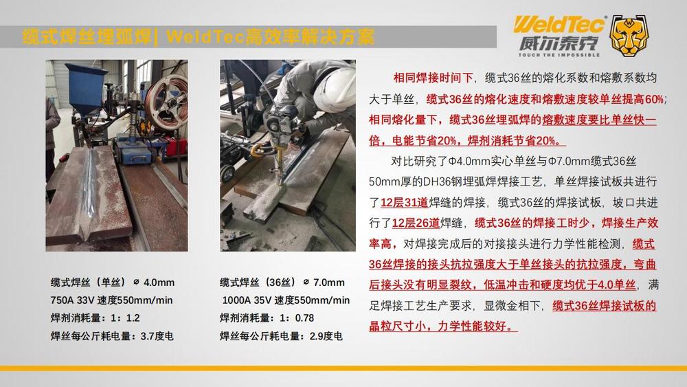 2024双链论坛-威尔泰克在钢构行业高效率焊接解决方案_55.jpg